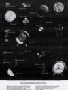 Bulova 1967 15.jpg